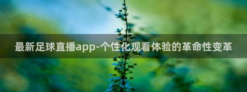 最新足球直播app-个性化观看体验的革命性变革