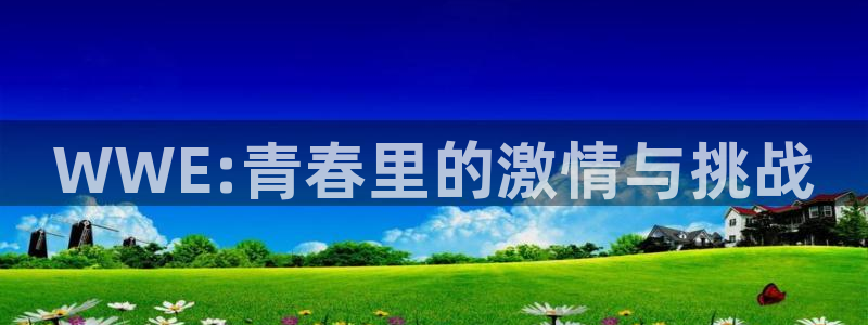 WWE:青春里的激情与挑战