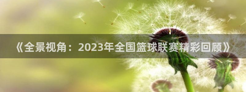 《全景视角：2023年全国篮球联赛精彩回顾》