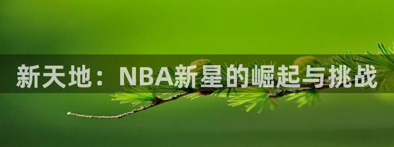 新天地：NBA新星的崛起与挑战