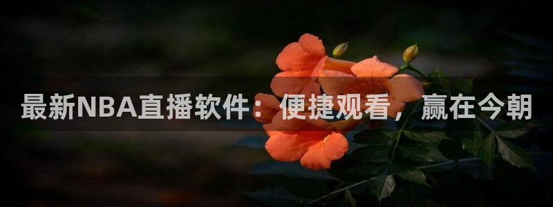 最新NBA直播软件：便捷观看，赢在今朝